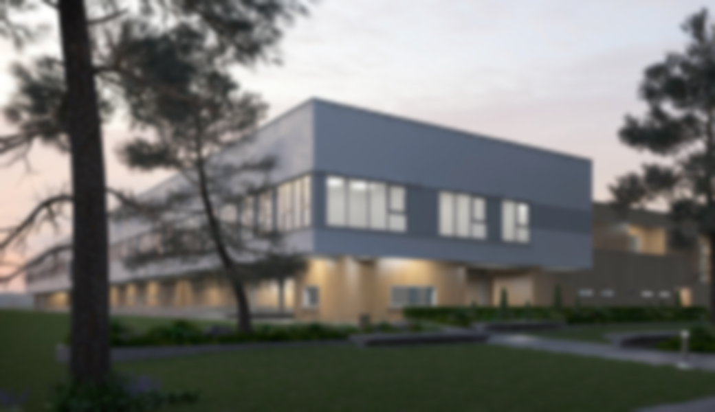 The New Basseterre High School